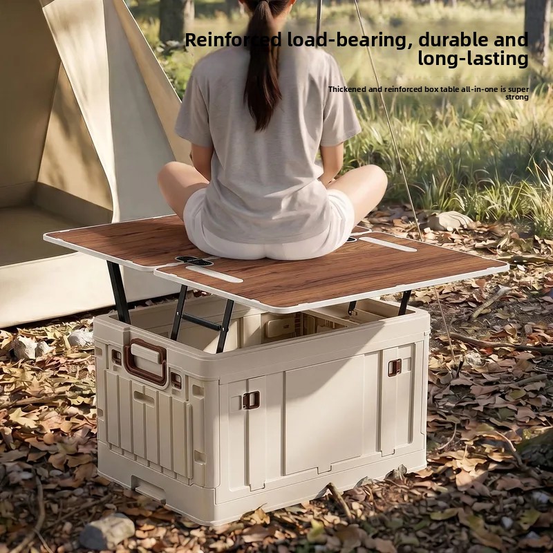 Organizer pieghevole per bagag - Car Organizer recensione e prezzo